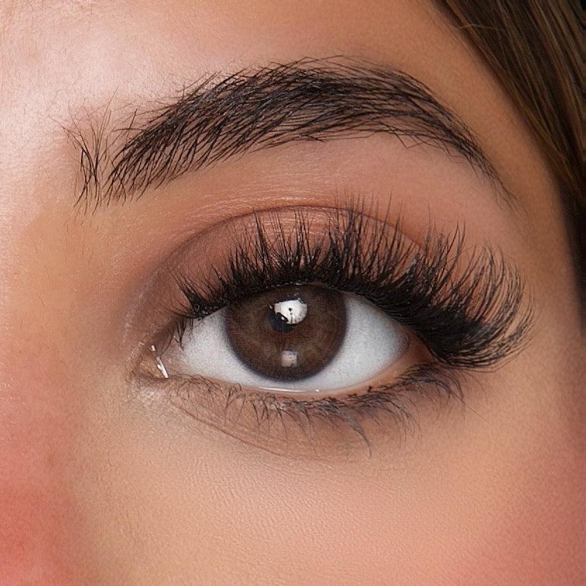 Mega Lash Box - CoCo (8 Pairs) - Lashcarame