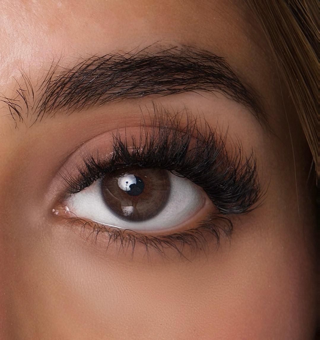 Mega Lash Box - Dirty Dancer (8 Pairs) - Lashcarame